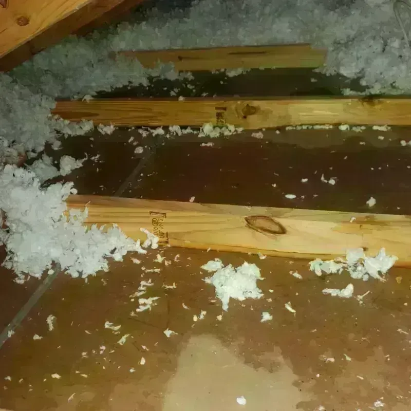 Attic Water Damage in Combine, TX