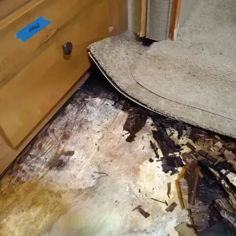 Best Wood Floor Water Damage Service in Combine, TX